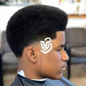 Modern Afro Haircut