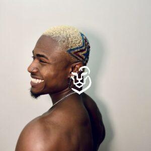 The Artistic Expression Fade