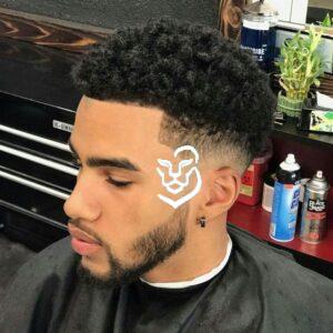 The Curly Top Fade