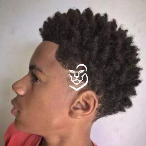 The Geometric Precision Fade