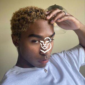 The Sun-Kissed Coil Fade