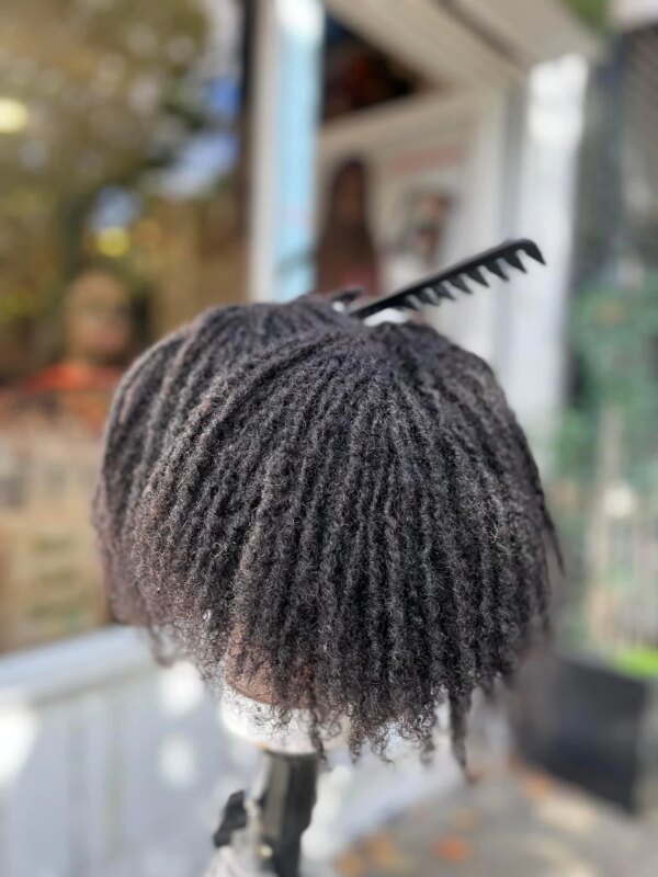 Locs by Laaibamia 4