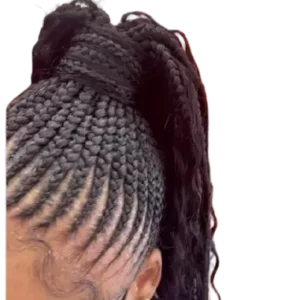Ponytail braids 2